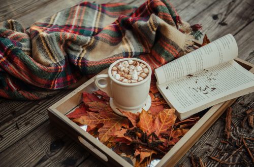 A mug of hot cocoa topped with marshmallows beside an open book and autumn leaves on a wooden tray, with a plaid blanket in the background.